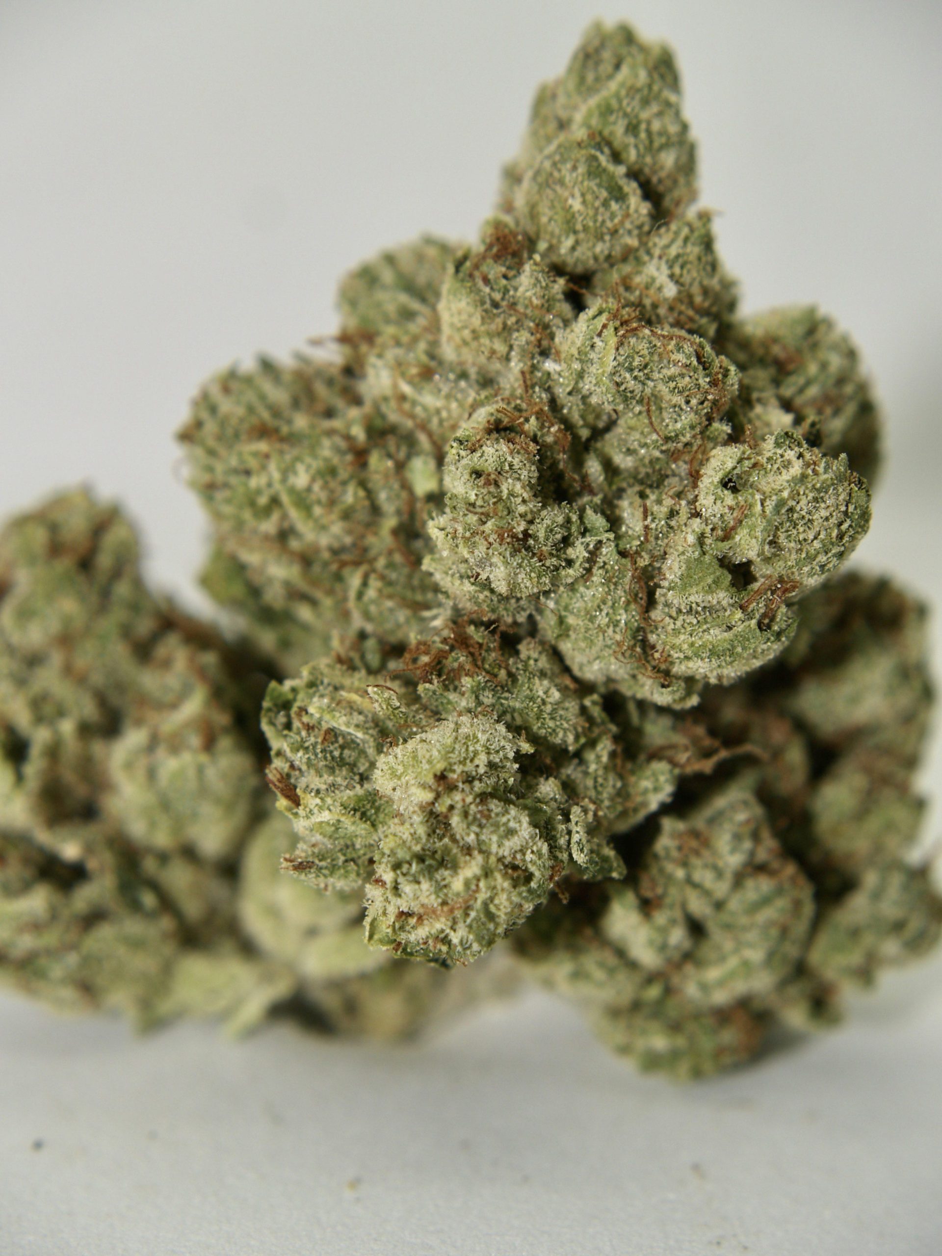 Cereal Milk Cereal Milk