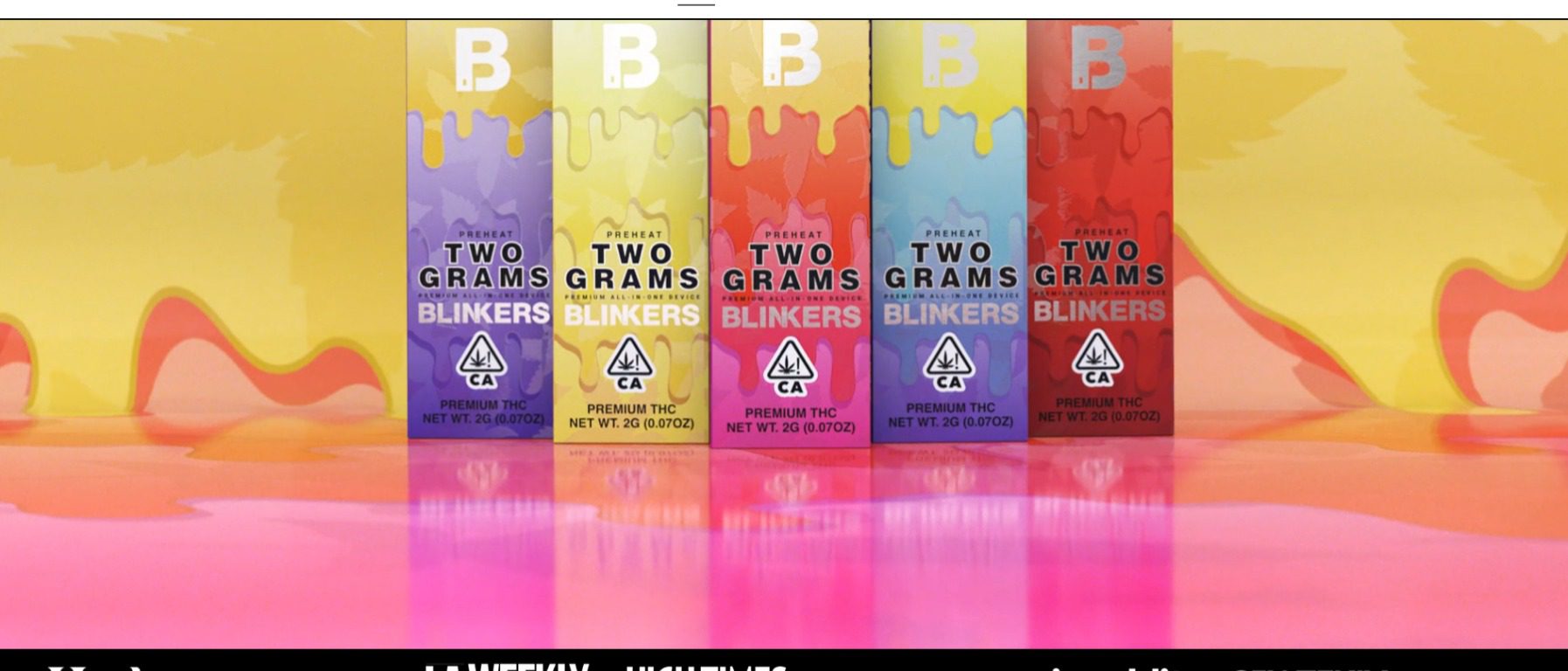 2G Disposable 2G Disposable