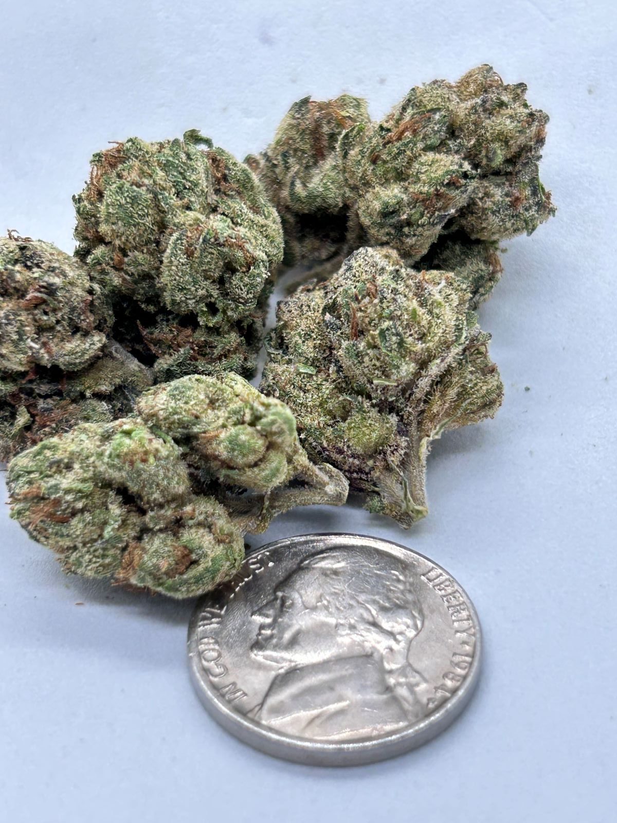 "Premium indoor small buds for $120 per ounce – top-quality cannabis deal."