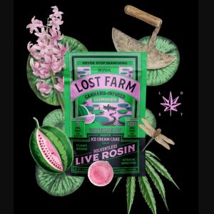 Screenshot_7-11-2024_11553_kiva.sfo2.digitaloceanspaces.com https://scissordrifters420.com/wp-content/uploads/2024/11/Screenshot_7-11-2024_11553_kiva.sfo2_.digitaloceanspaces.com_-300x300.jpeg?crop=1