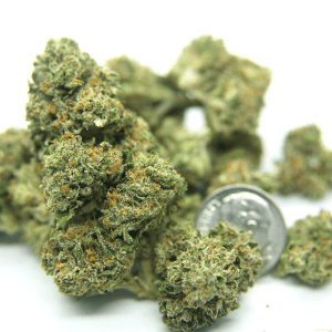 "Group shot of Sherbert cannabis strain featuring multiple frosty buds with a coin for scale."