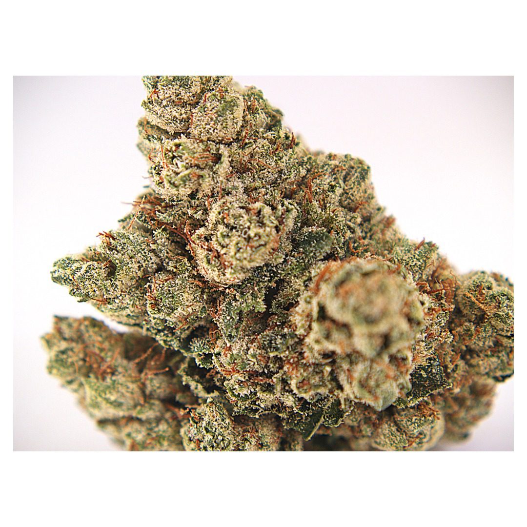 Legend OG Primo Indoor Flower, an indica powerhouse with frosty buds and deeply calming effects, perfect for relaxation. Legend OG Primo Indoor Flower, an indica powerhouse with frosty buds and deeply calming effects, perfect for relaxation.
