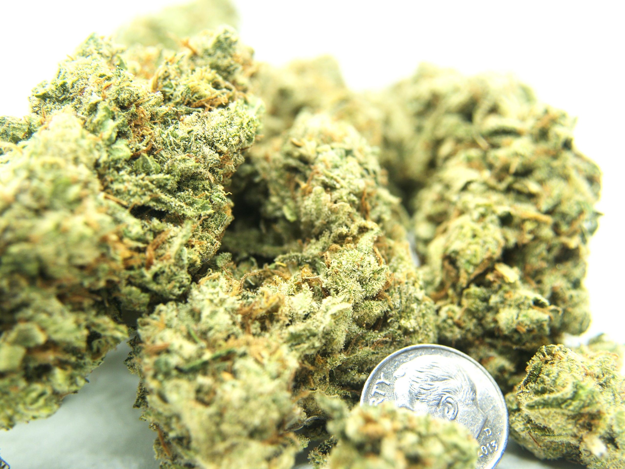 "Group shot of Super Lemon Haze cannabis strain featuring multiple frosty, bright green buds with a coin for scale."