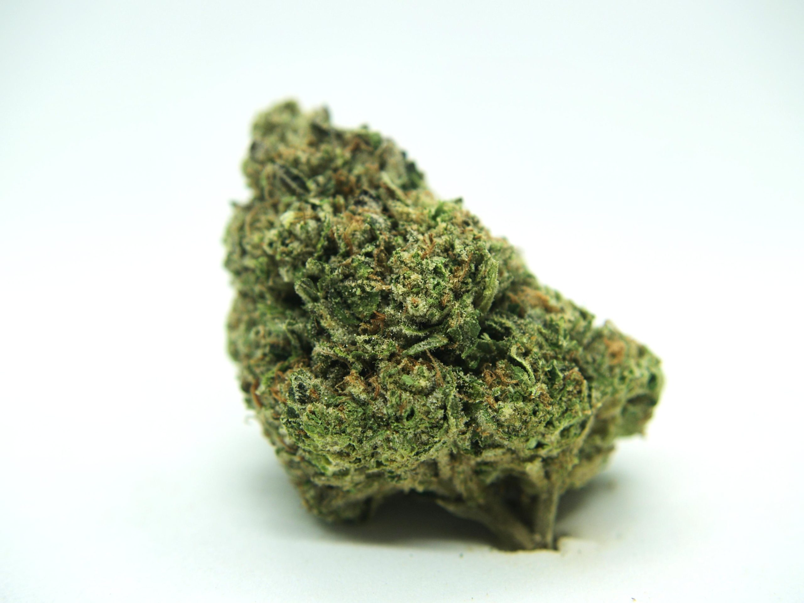 "Close-up view of a single Black Runtz nug, showcasing its frosty trichomes, dense structure, and sweet, fruity aroma."
"Close-up view of a single Black Runtz nug, showcasing its frosty trichomes, dense structure, and sweet, fruity aroma."